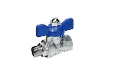 51002 - MACHO X FEMEA BORBOLETA.jpg